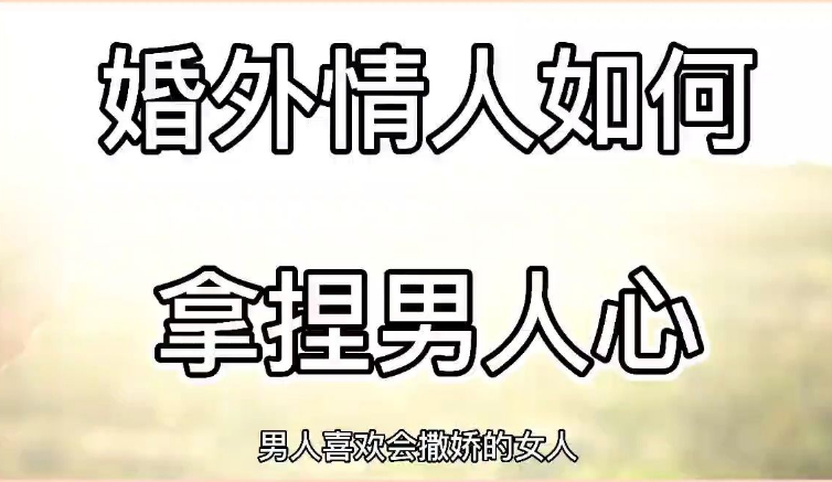 包括婚外情调查、出轨取证、小三劝退等，旨在帮助客户了解伴侣的忠诚度或解决婚姻纠纷。